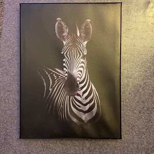 Zebra Canvas Art 16x12